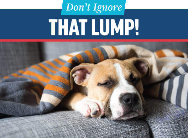 Don’t Ignore That Lump