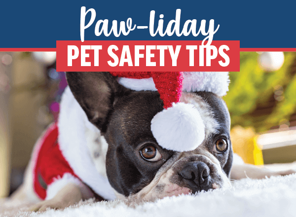 Keep Your Pets Safe This Holiday Season