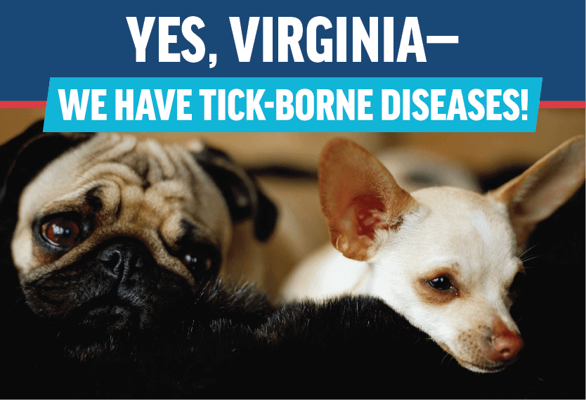 Yes, Virginia—We Have Tick-Borne Diseases!