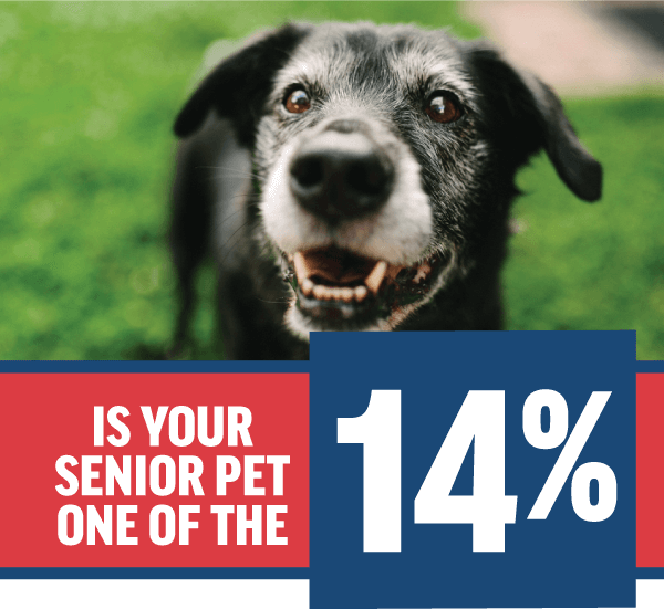 Is Your Senior Pet One of the 14%?